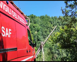 Resta impigliata alla teleferica, precipita e muore: impianto sotto sequesto
